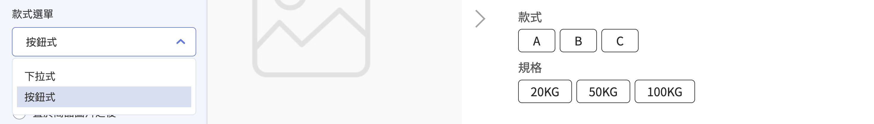商品款式選單-按鈕式 按鈕式